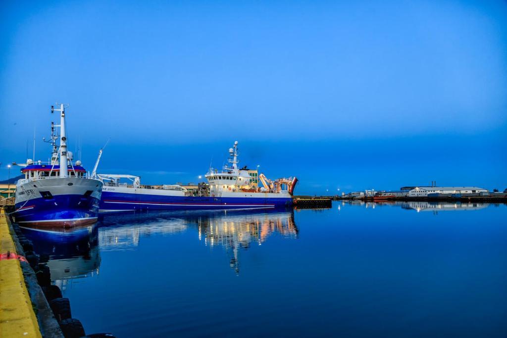 Apotek Guesthouse Höfn Eksteriør billede